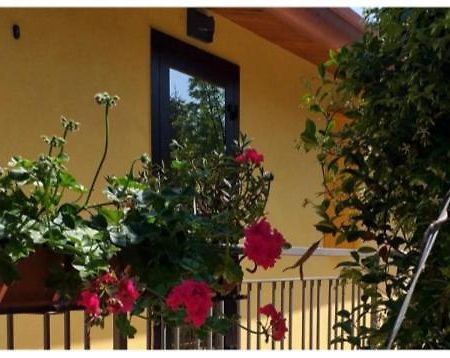 Appartement Agriturismo La Fredda à Sommacampagna Extérieur photo